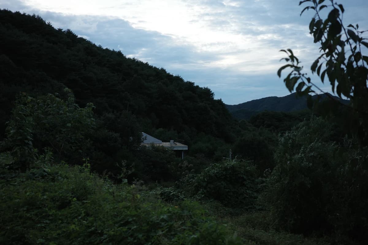 추보삼림 프로필 이미지