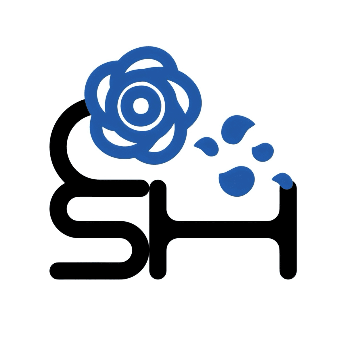 씨에스에이치(CSH) 엔터테인먼트 프로필 이미지