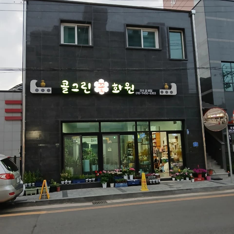 콜그린전국꽃배달 프로필 이미지